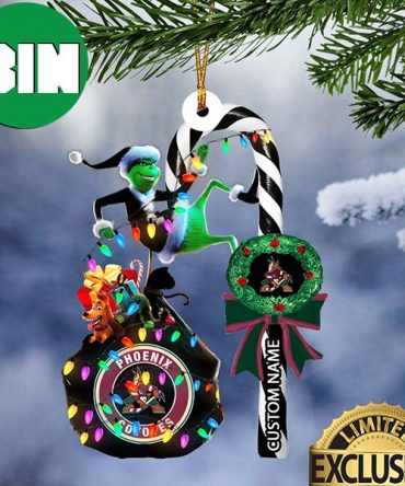 Arizona Coyotes NHL Grinch Candy Cane Custom Name Xmas Gifts Christmas Tree Decorations Ornament