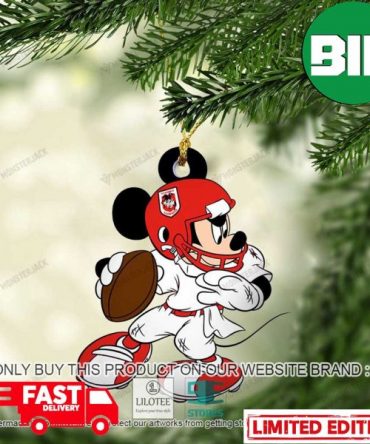Mickey Mouse NRL St George Illawarra Dragons Christmas Gift Xmas Tree Decorations Ornament