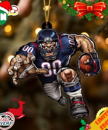 NFL Houston Texans Sport Ornament 2023 Christmas Tree Decorations