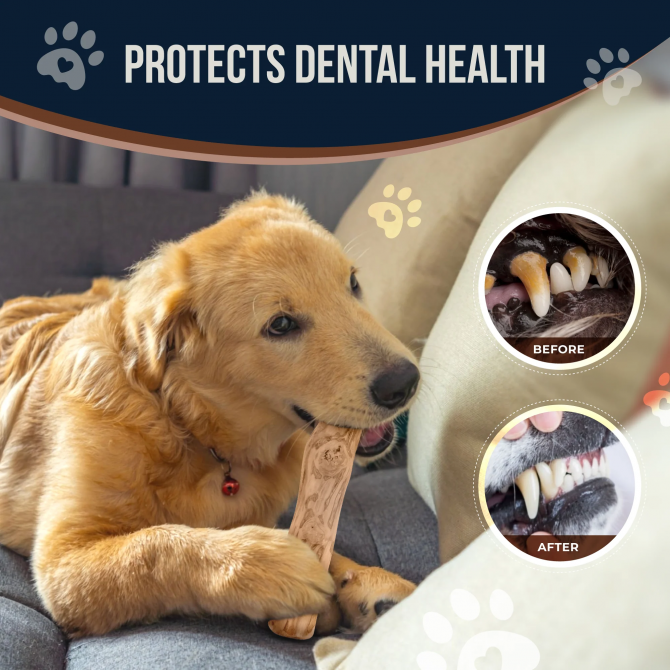 Coffee Wood Dog Chew Stick, 2 Pack Size Extra Small, Dog Teeth Cleaning & Relieve Stress, Organic Toys - Image 4