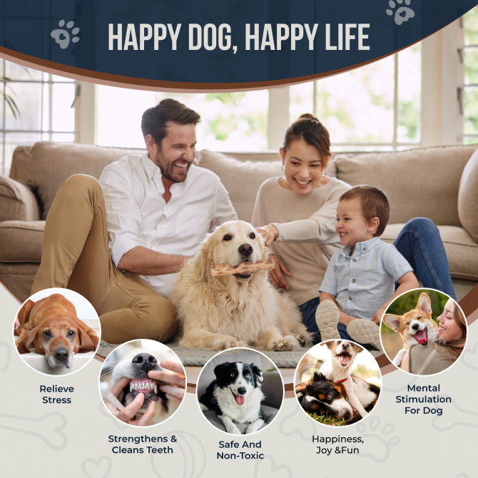 Coffee Wood Dog Chew Stick, 2 Pack Size Extra Small, Dog Teeth Cleaning & Relieve Stress, Organic Toys - Image 3